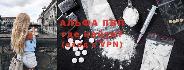 PSILOCYBIN Горняк