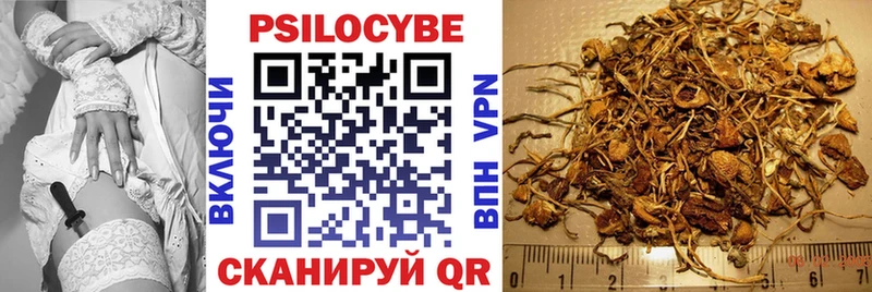 Псилоцибиновые грибы GOLDEN TEACHER  Дмитровск 